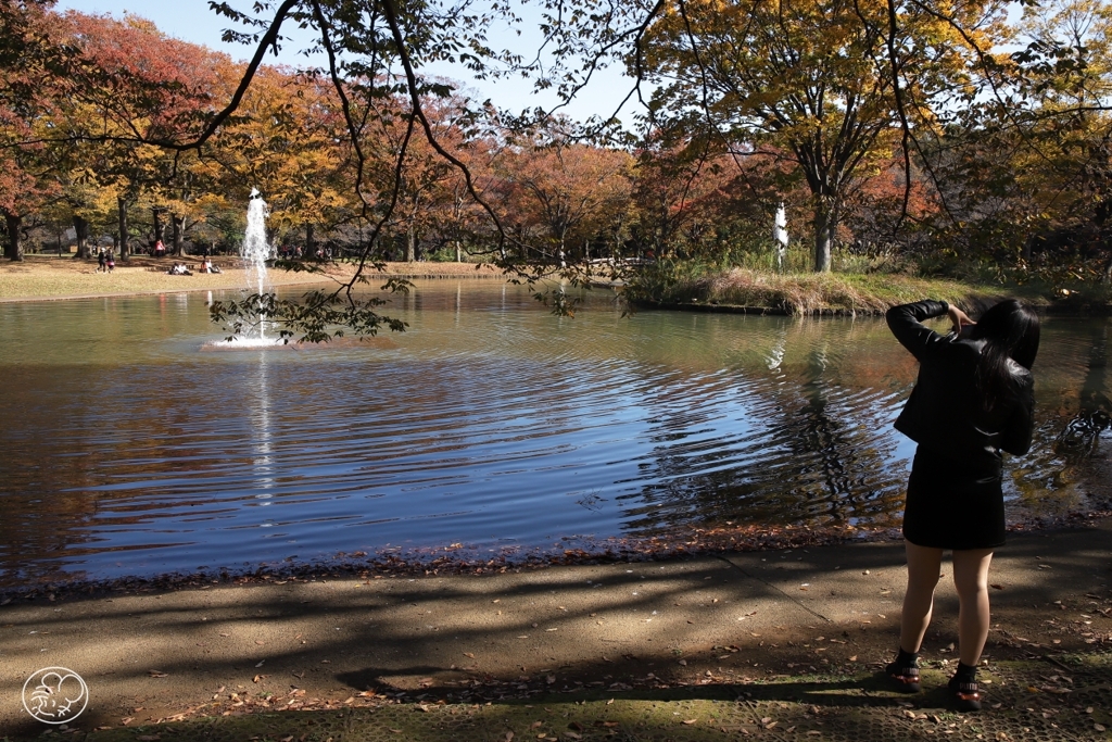 公園の秋 －９