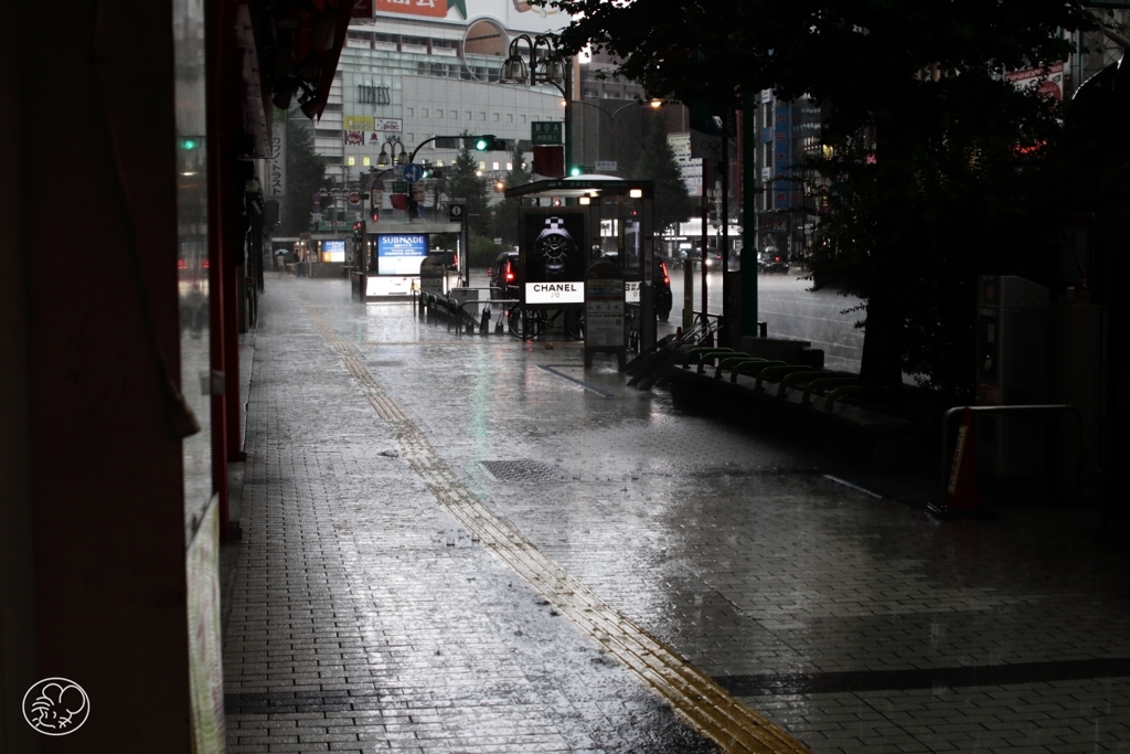 暗い雨