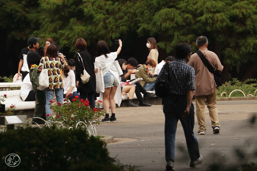 公園ににぎわいが戻ってきた