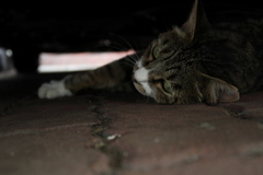 涼む　５