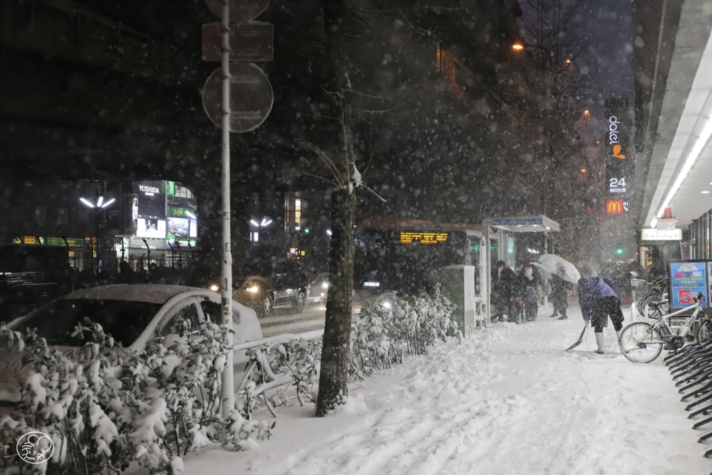 にわか雪国