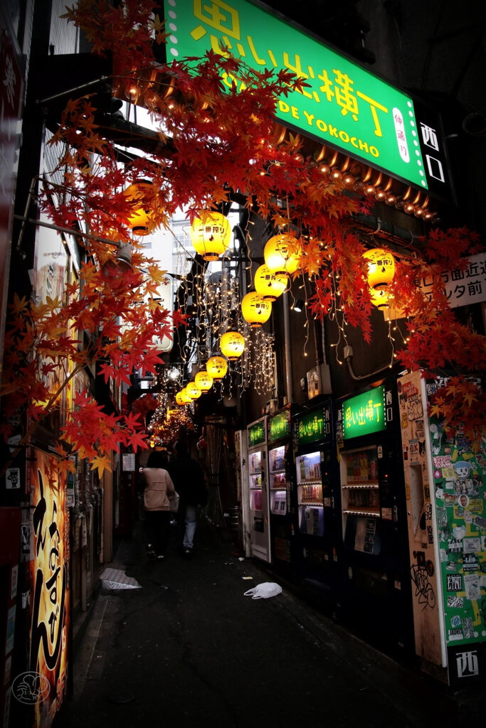 思い出横丁　２