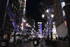 ＭＯＡ４番街