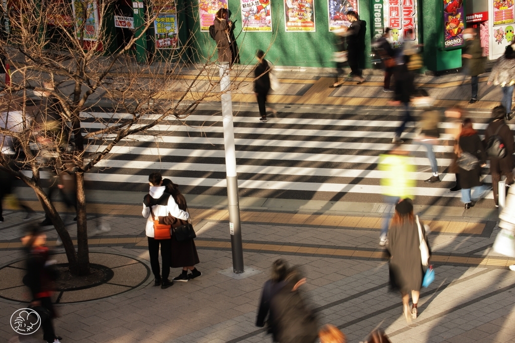 駅前広場 －１