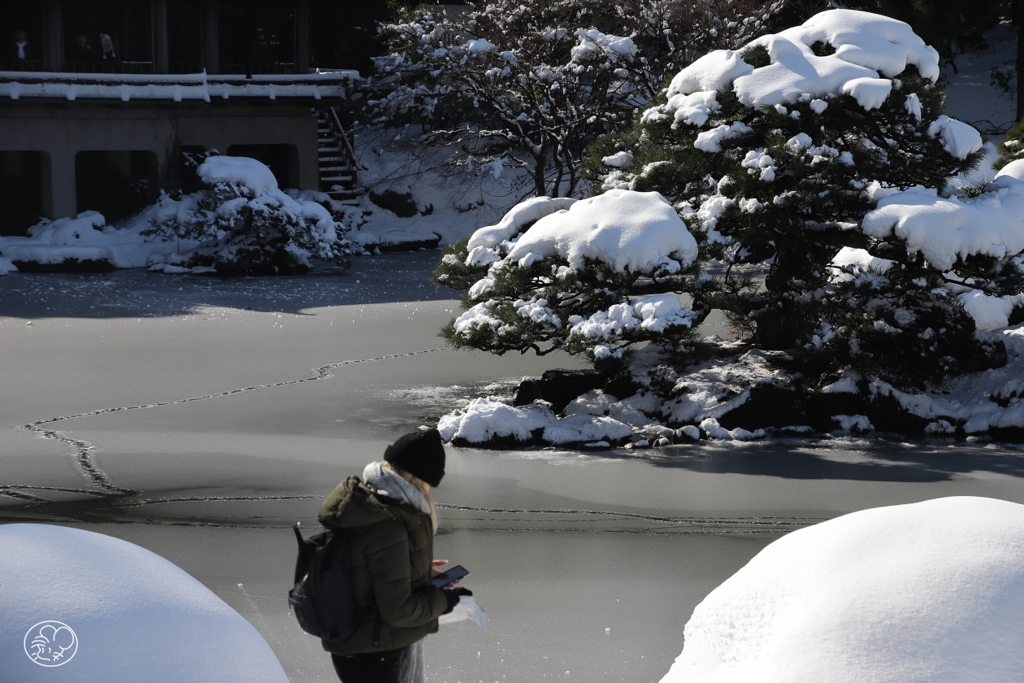 雪化粧 －２