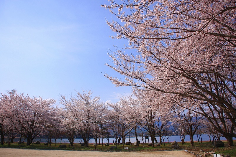 春らしく・・・