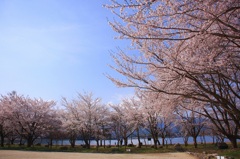 春らしく・・・