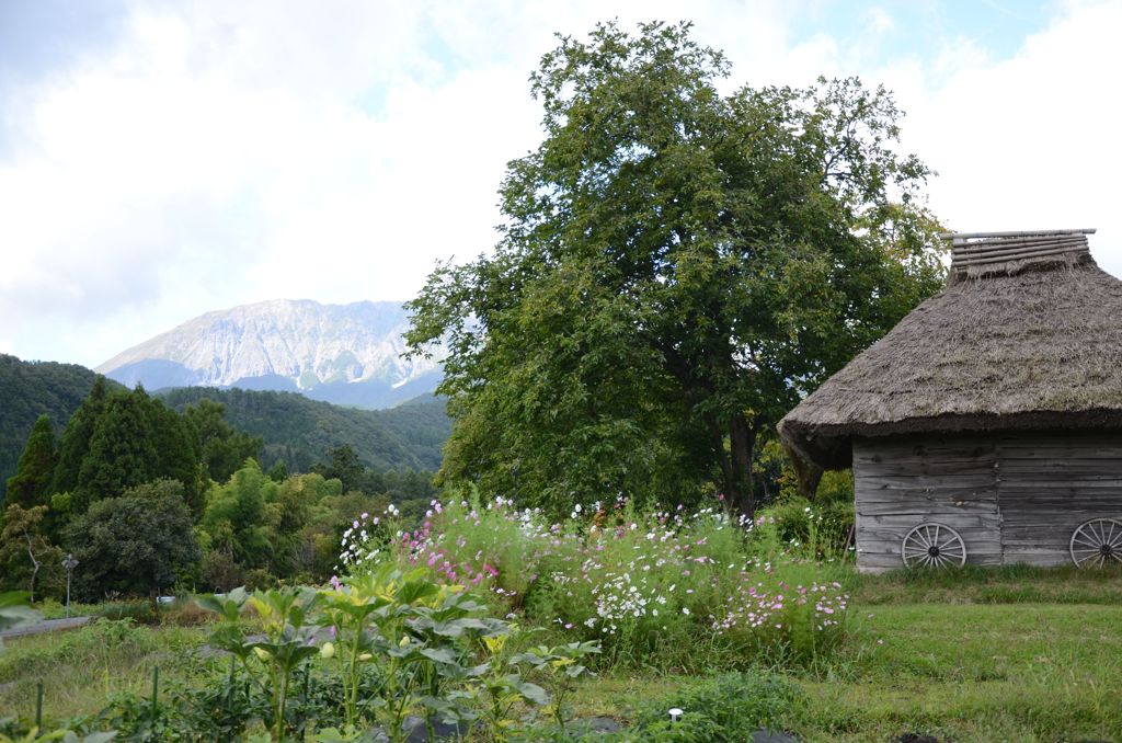 御机の茅葺小屋