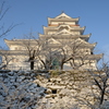 雪の福山城
