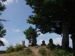 高鳥谷山