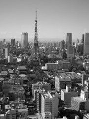 東京タワー　眺望