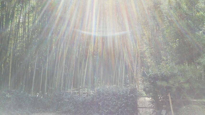 2011092413270001