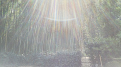 2011092413270001