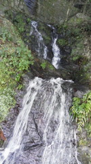 2011092414160002