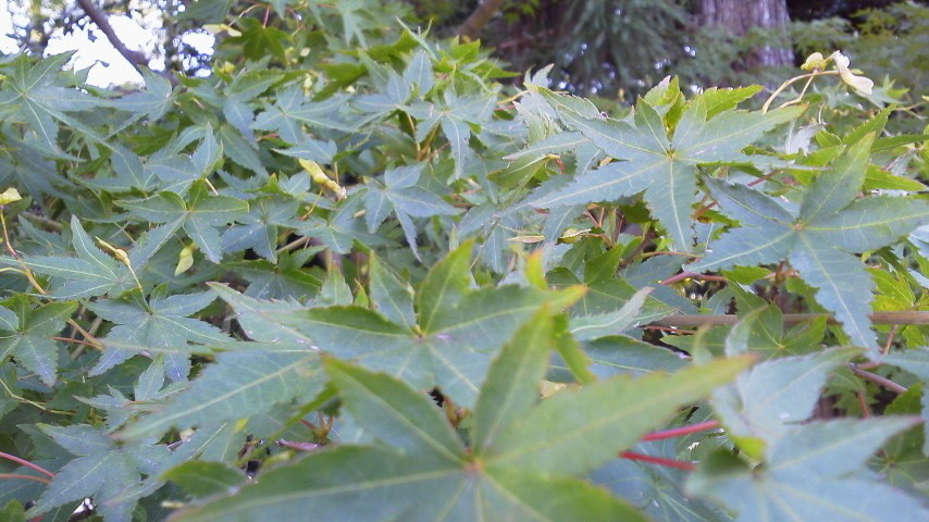 2011092415440001