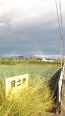 niji