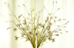 布花03