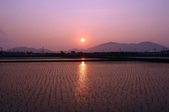 春の夕景