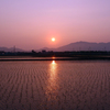 春の夕景