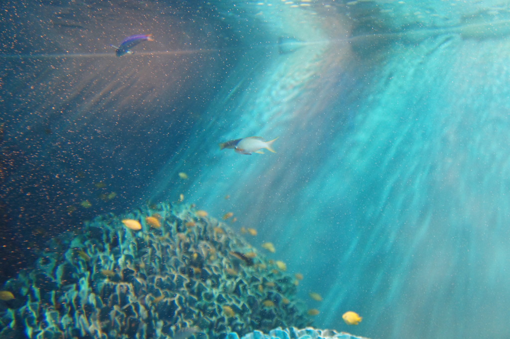 20110926　サンシャイン水族館１６