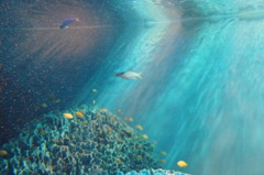 20110926　サンシャイン水族館１６