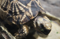 20110926　サンシャイン水族館１３