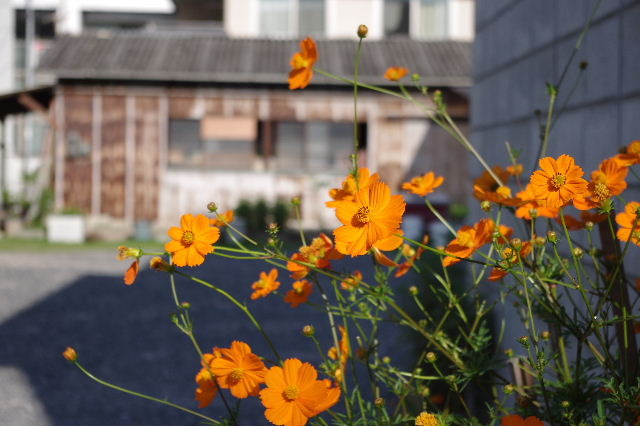 Fresh morning…