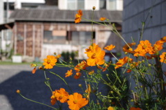 Fresh morning…