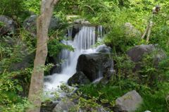 滝　シャッター長め