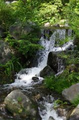 滝　シャッター短め