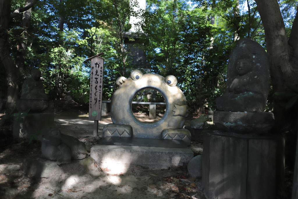 かえる寺こと如意輪寺