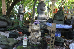 かえる寺こと如意輪寺