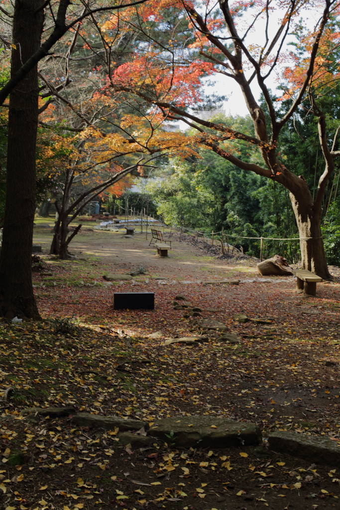 久留米城跡