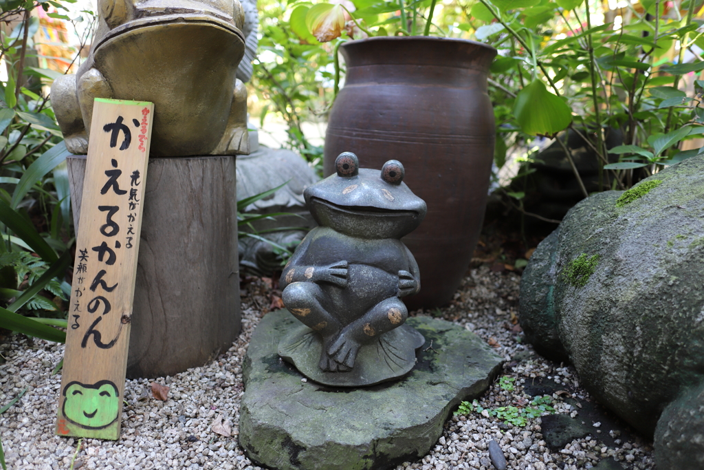 かえる寺こと如意輪寺