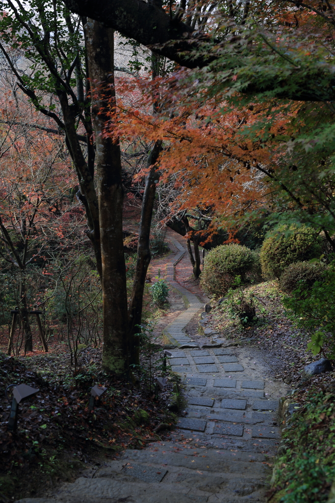 佐賀県・御船山楽園