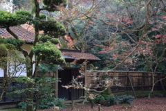 清水寺本坊庭園