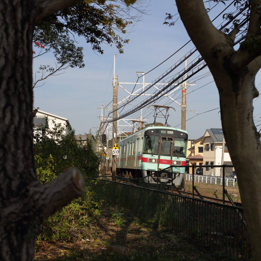 玉垂宮から見える西鉄電車