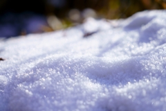 天山の雪⛄