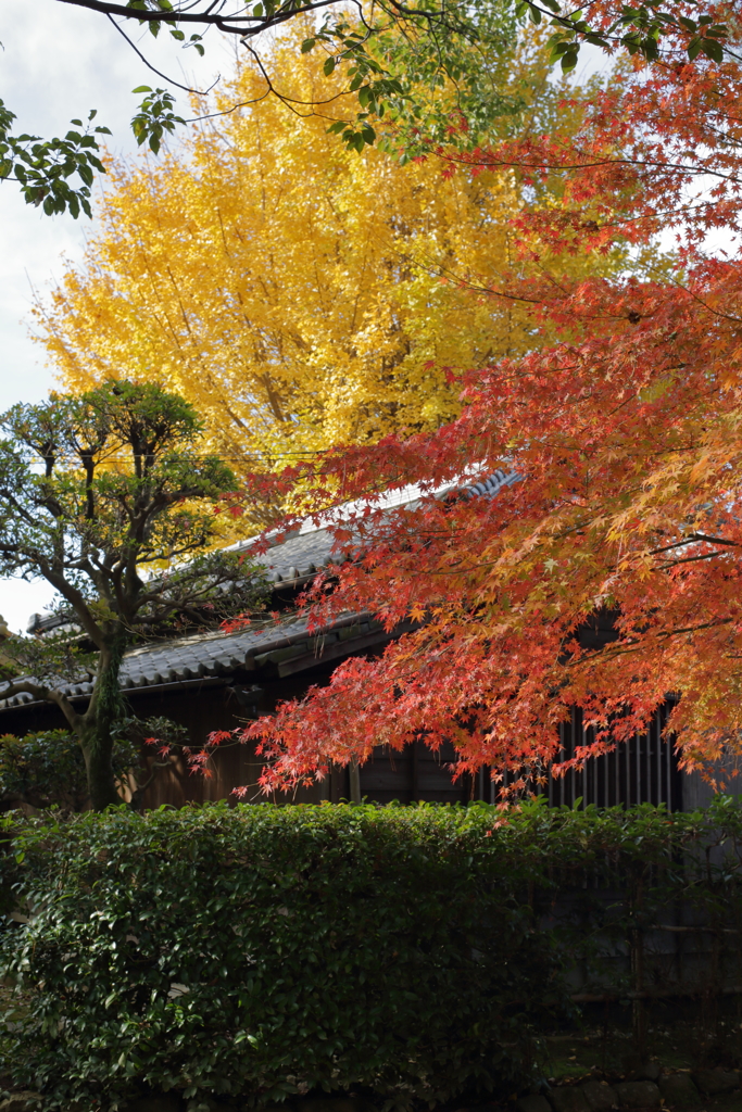 久留米城跡　東郷記念館