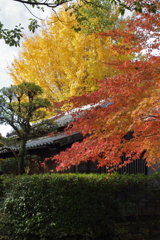 久留米城跡　東郷記念館