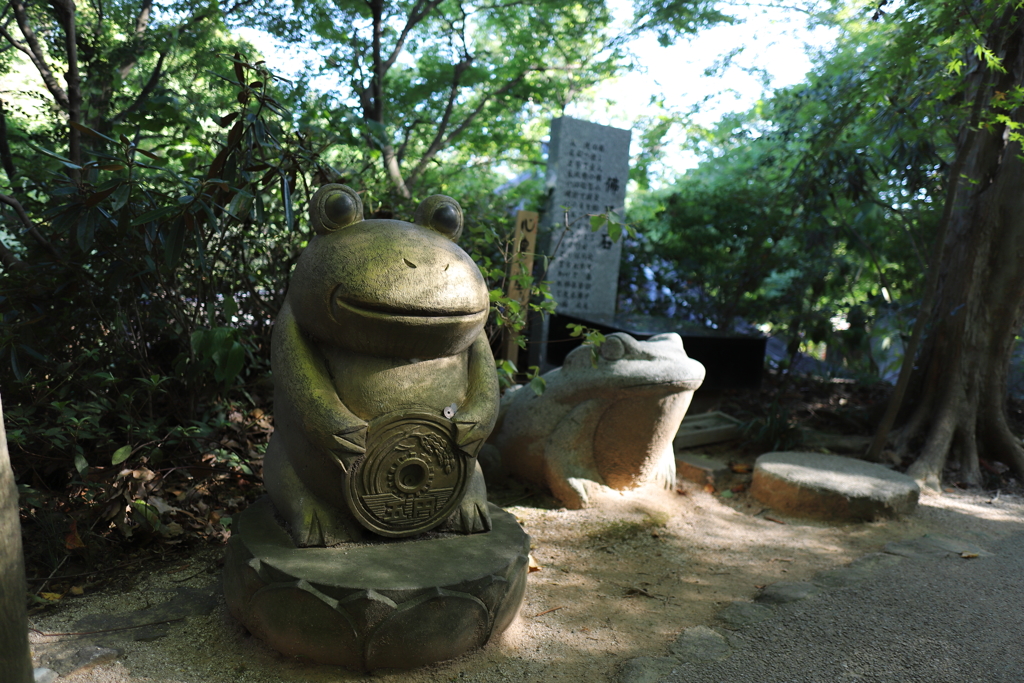 かえる寺こと如意輪寺