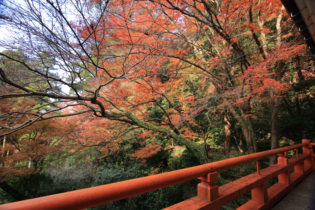 清水寺から