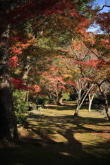 久留米城跡