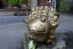 かえる寺こと如意輪寺