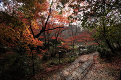 佐賀県・御船山楽園