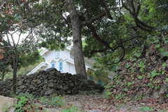 江上教会、の右側の木の枝がハートの形に見えると言われたのですが、、、