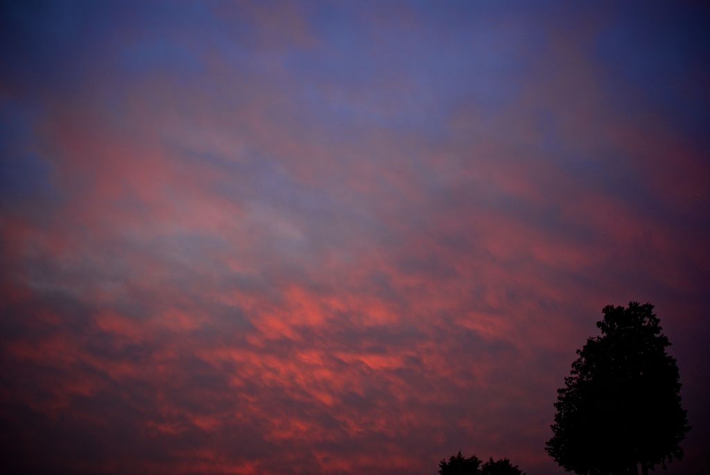 今日の空 2011.10.13