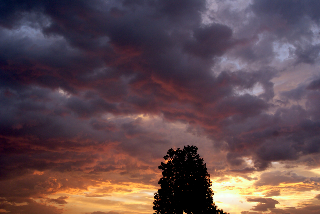 今日の空 2011.09.30