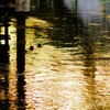 On a Golden Stream