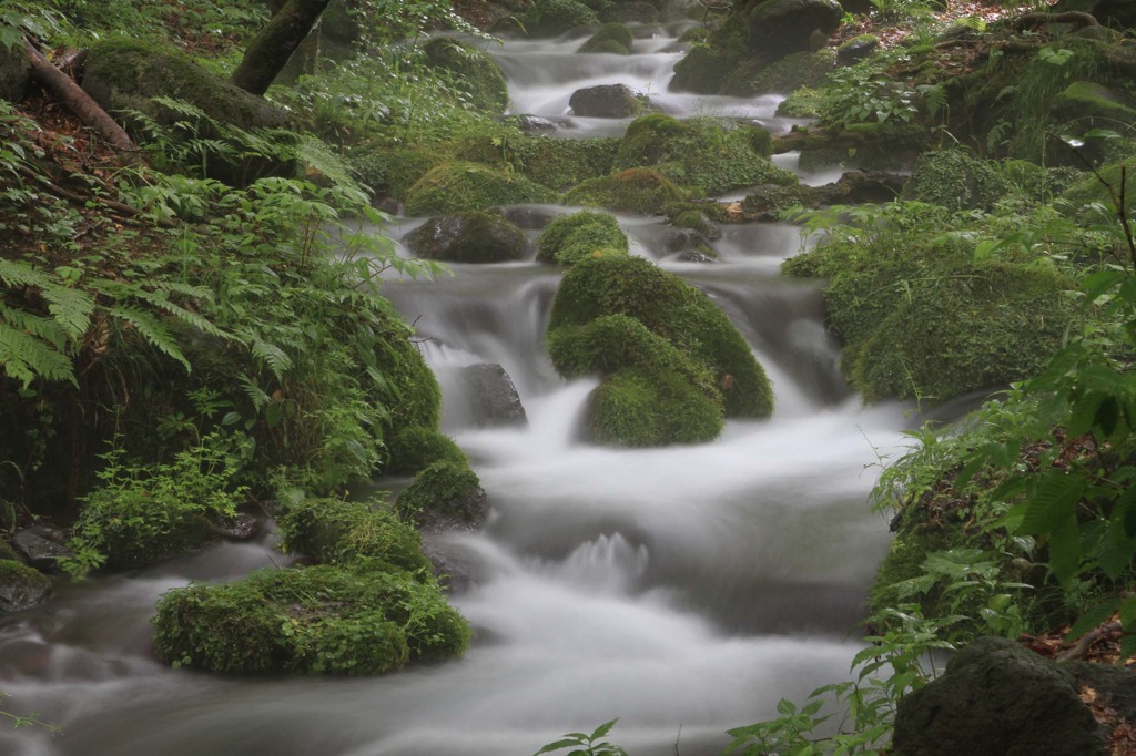 湧水地